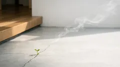 除草剤を使わない雑草対策 熱湯除草が向く場所と失敗しないコツ